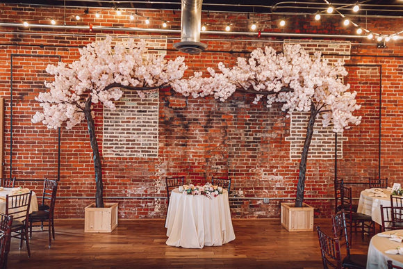Pink Cherry Blossom Arching Tree