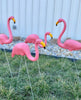 Pink Flamingos, Yard Decor