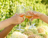 White Wine Glassware, 11oz