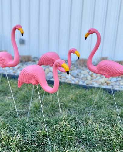 Pink Flamingos, Yard Decor