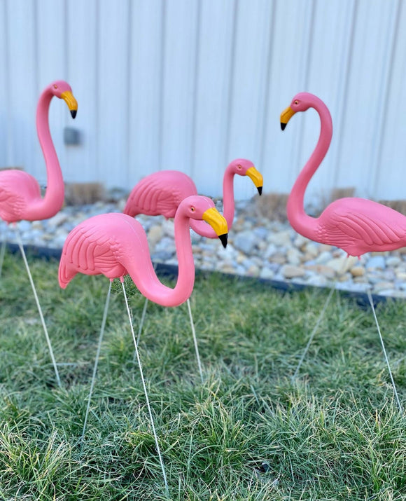 Pink Flamingos, Yard Decor