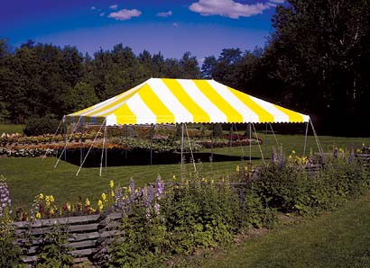 Canopy Tent  20'x30'