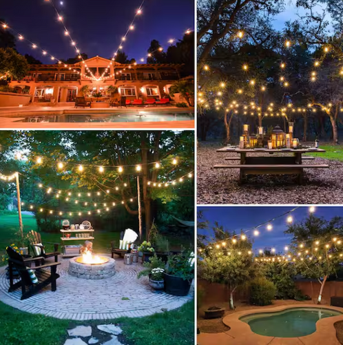 Edison Bulb String Light, 49', 15 Socket