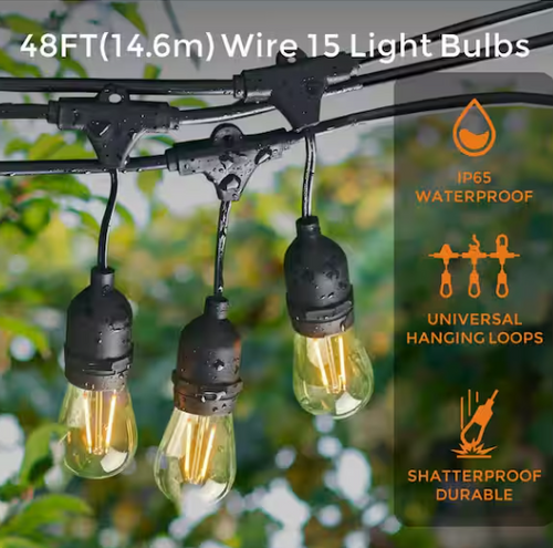 Edison Bulb String Light, 49', 15 Socket