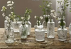 Assorted Apothecary Bud Vases (Clear)