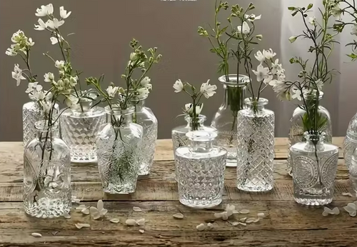 Assorted Apothecary Bud Vases (Clear)