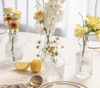 Assorted Apothecary Bud Vases (Clear)