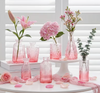 Assorted Pink Apothecary/Bud Vases