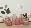 Assorted Pink Apothecary/Bud Vases