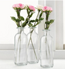 Clear Bottle Vases