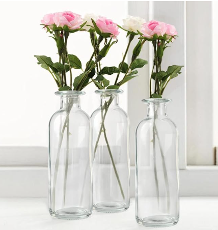 Clear Bottle Vases