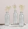 Clear Bottle Vases