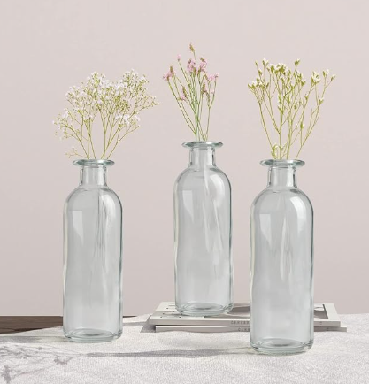 Clear Bottle Vases
